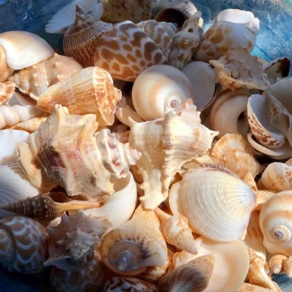 Swimsuit 💕Swimwear 💕 Bikini Set 💕 - Picture 8 of 16